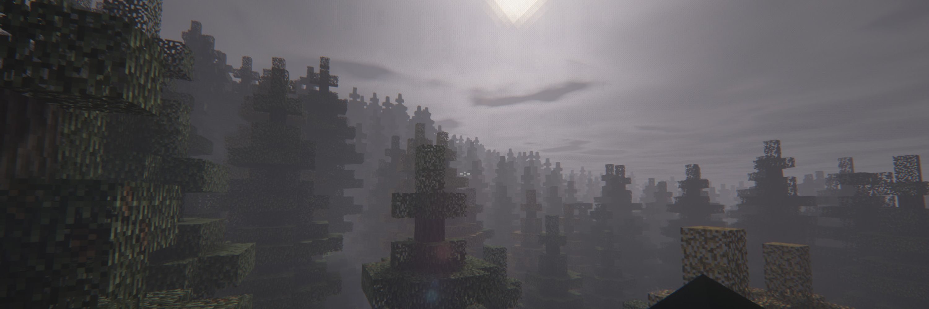 Void