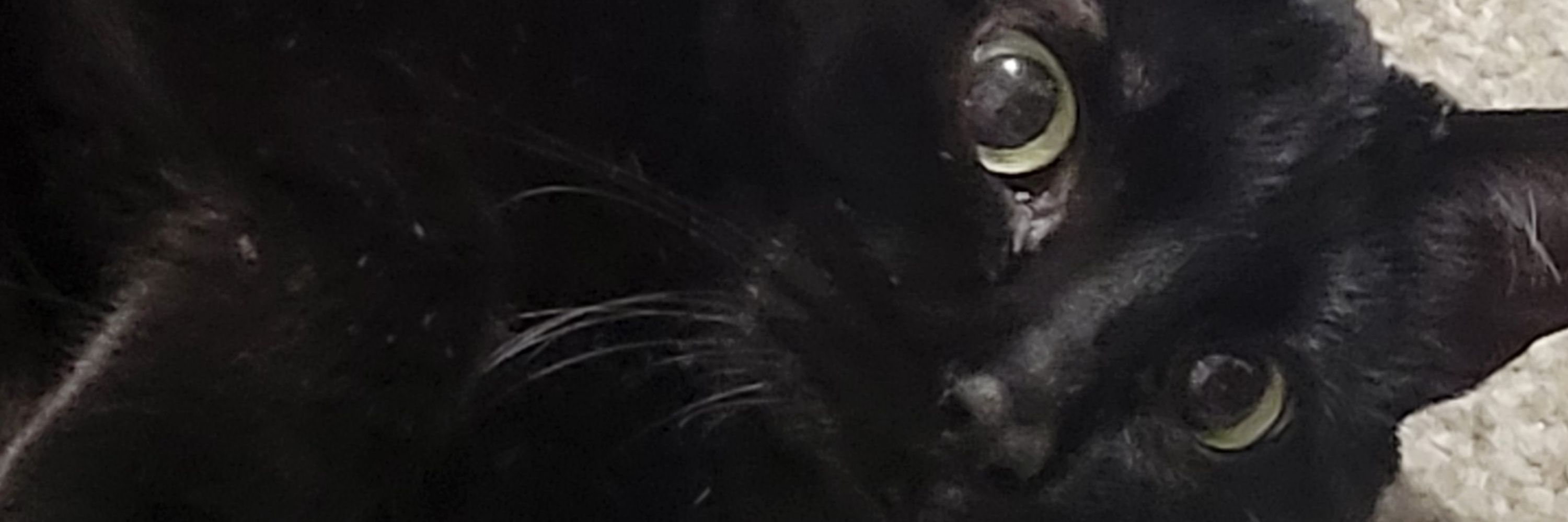 JD