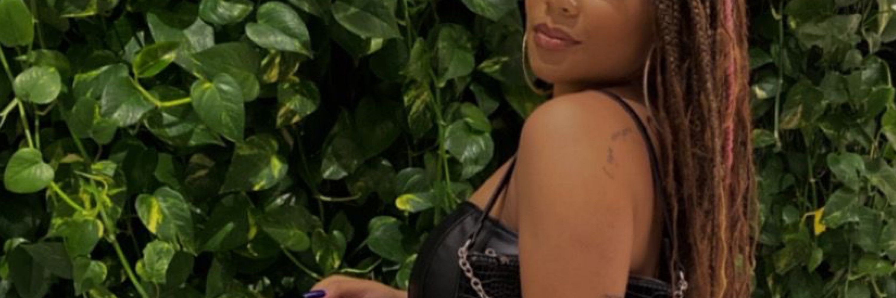 🐆
