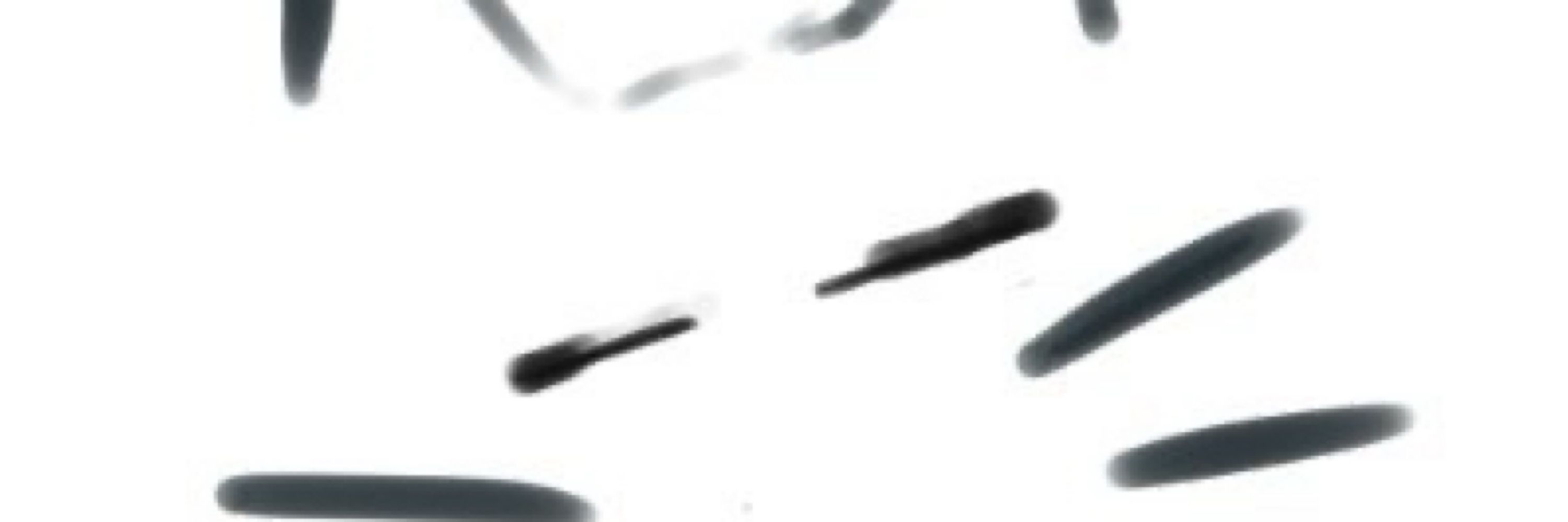 しろねこ@100枚チャレンジ中