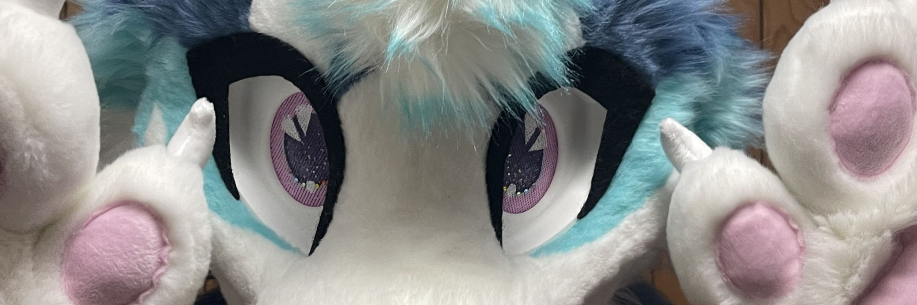 Callie! 🔜 AC