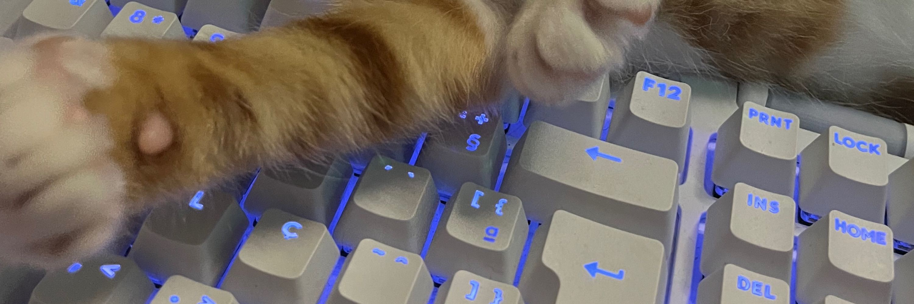 Peach | Criadora de conteúdo e Streamer