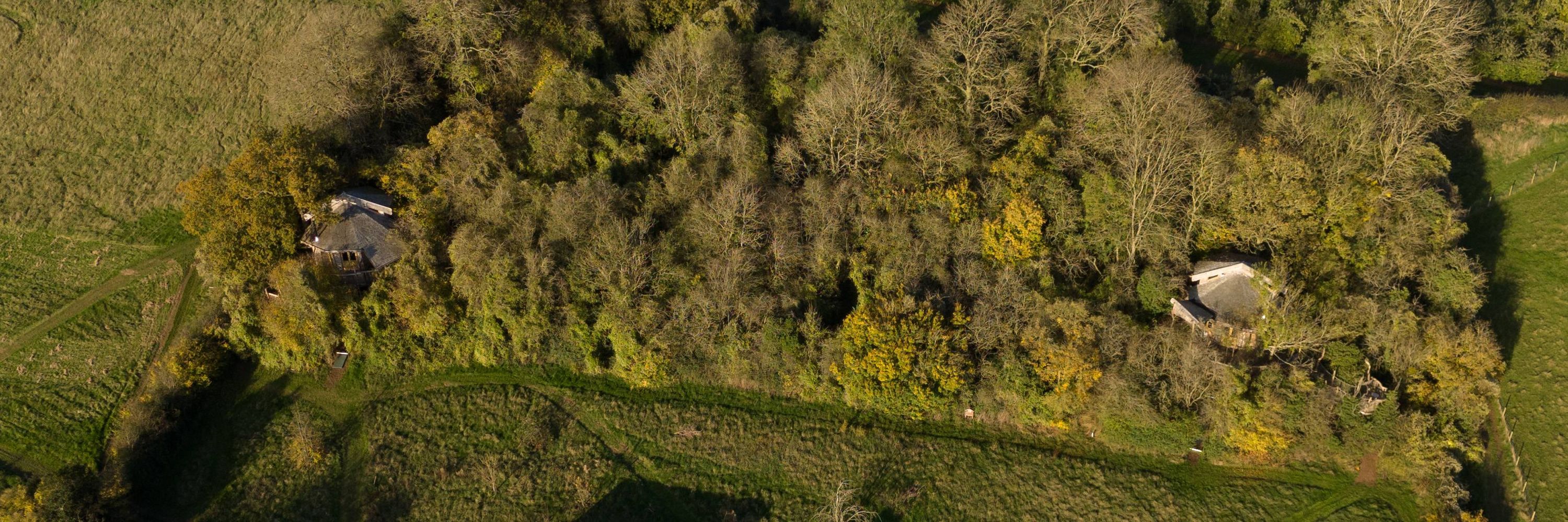 One Acre Wood