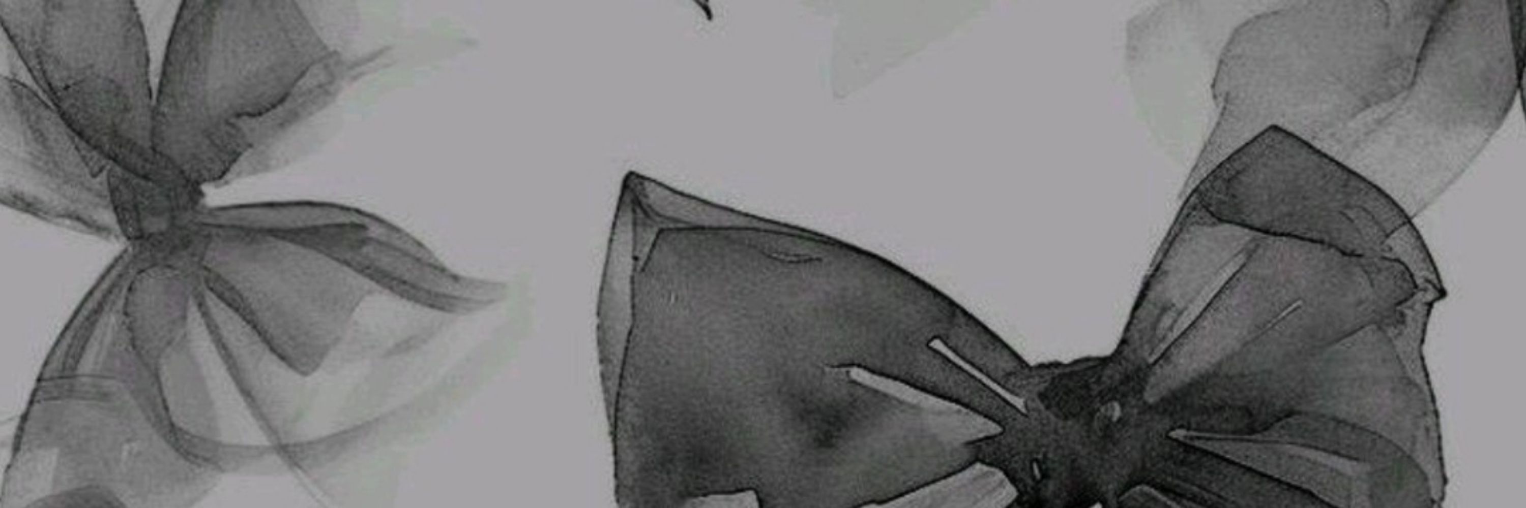 ᥫ᭡. ryryo 