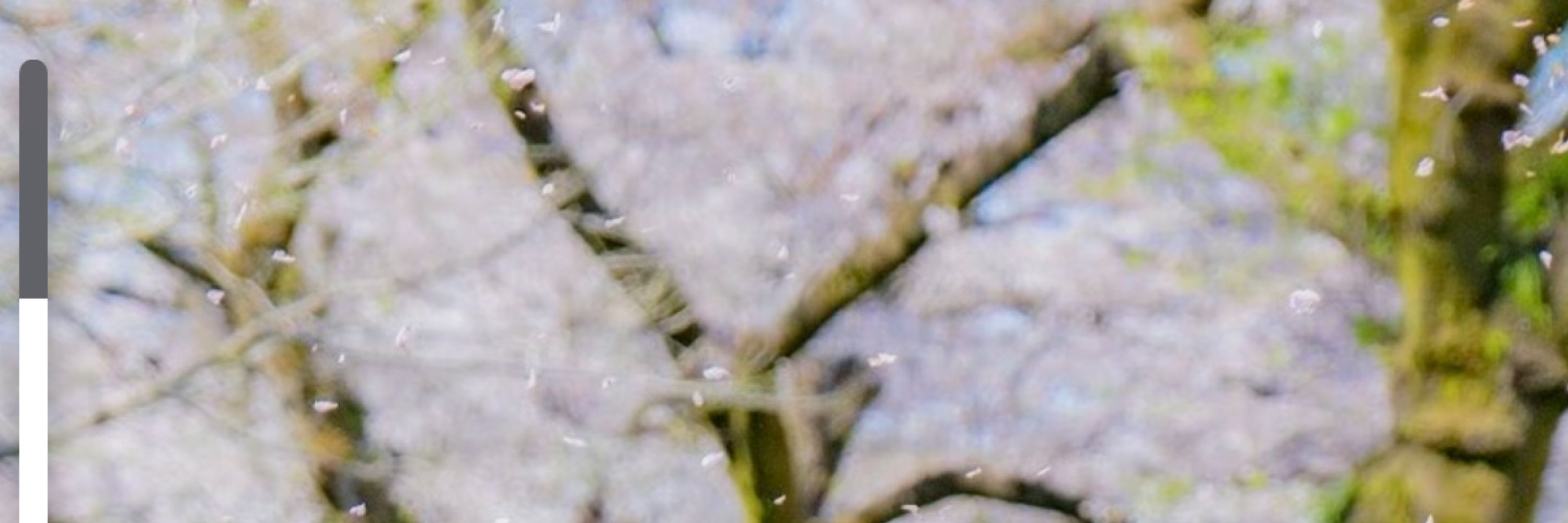 tokyo.nk