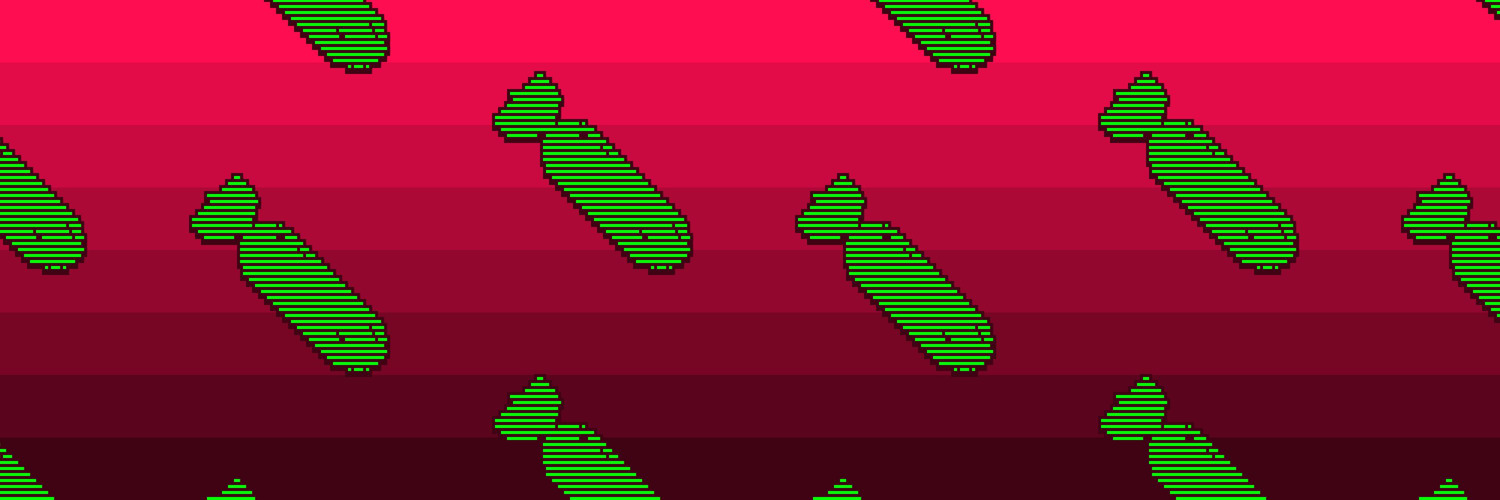 0x04
