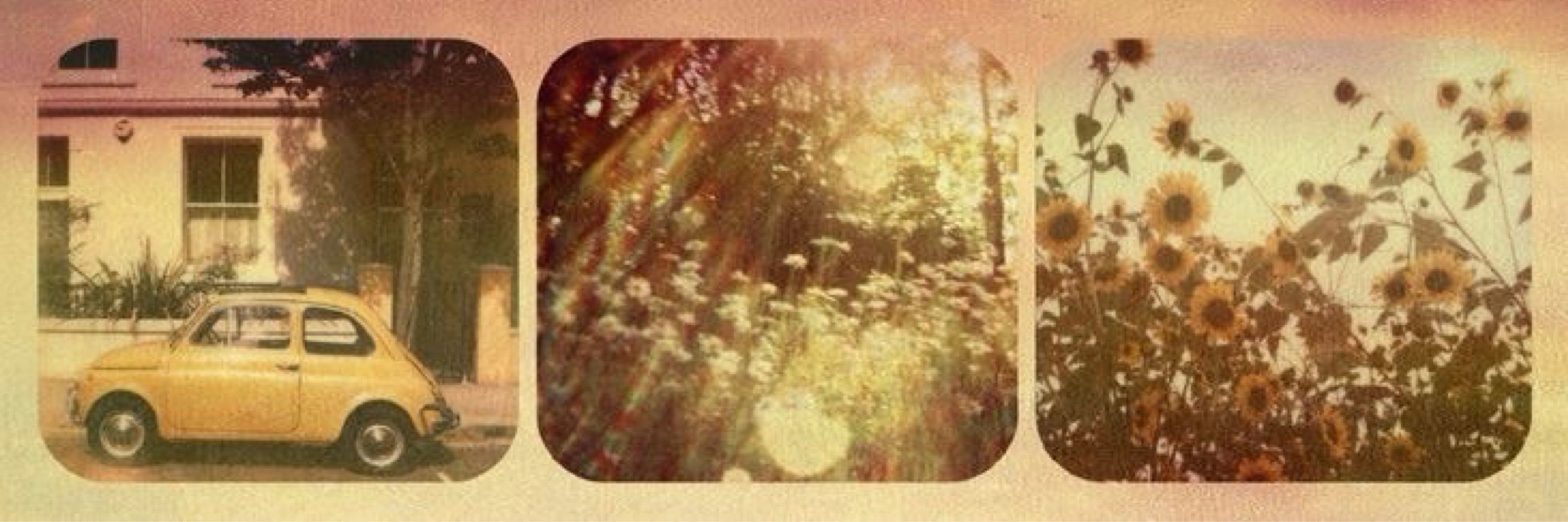🌲 ৻ꪆ 𝑒𝓁𝓋𝒾𝓇𝒶
