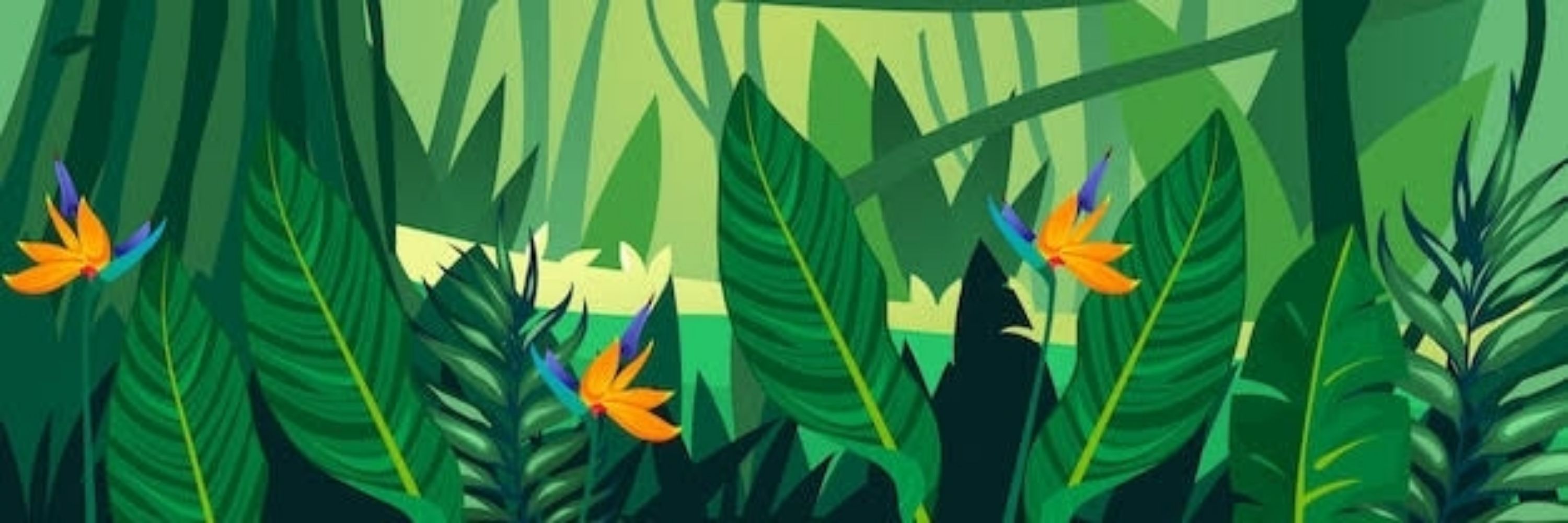 CAIPORA