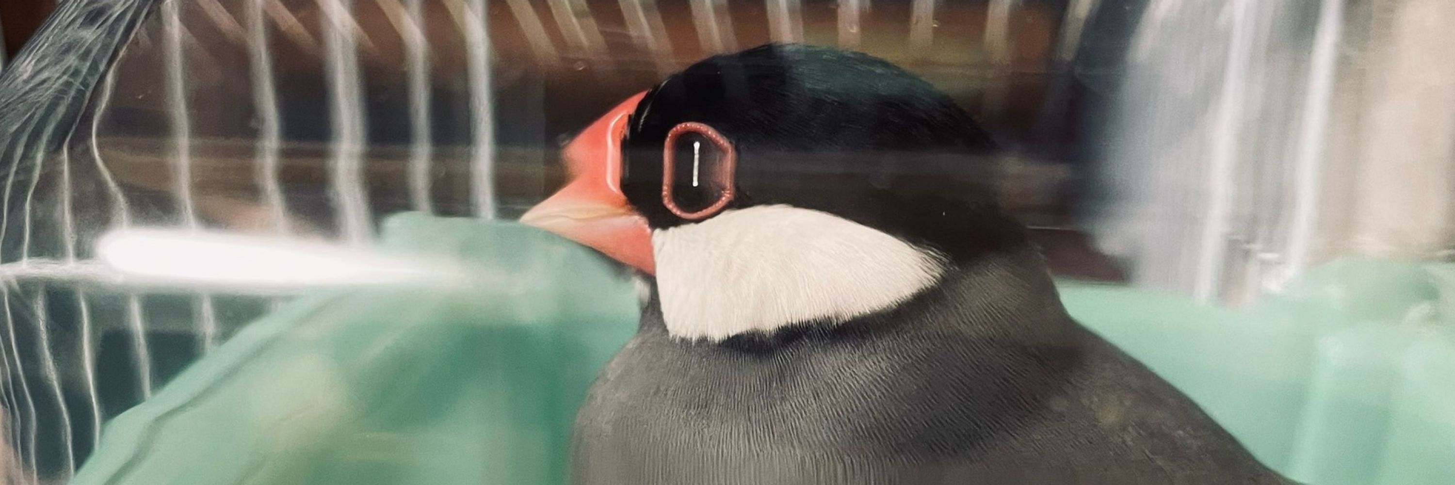 あいだ