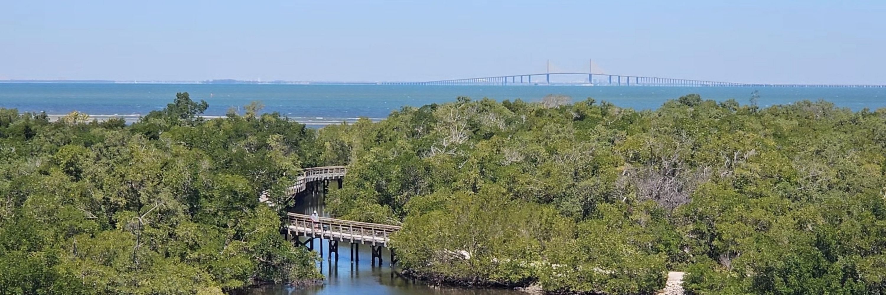 GulfCoastJake