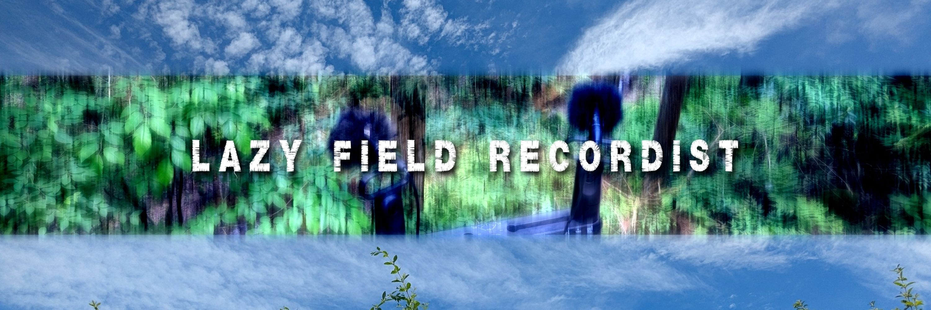 Lazy Field Recordist