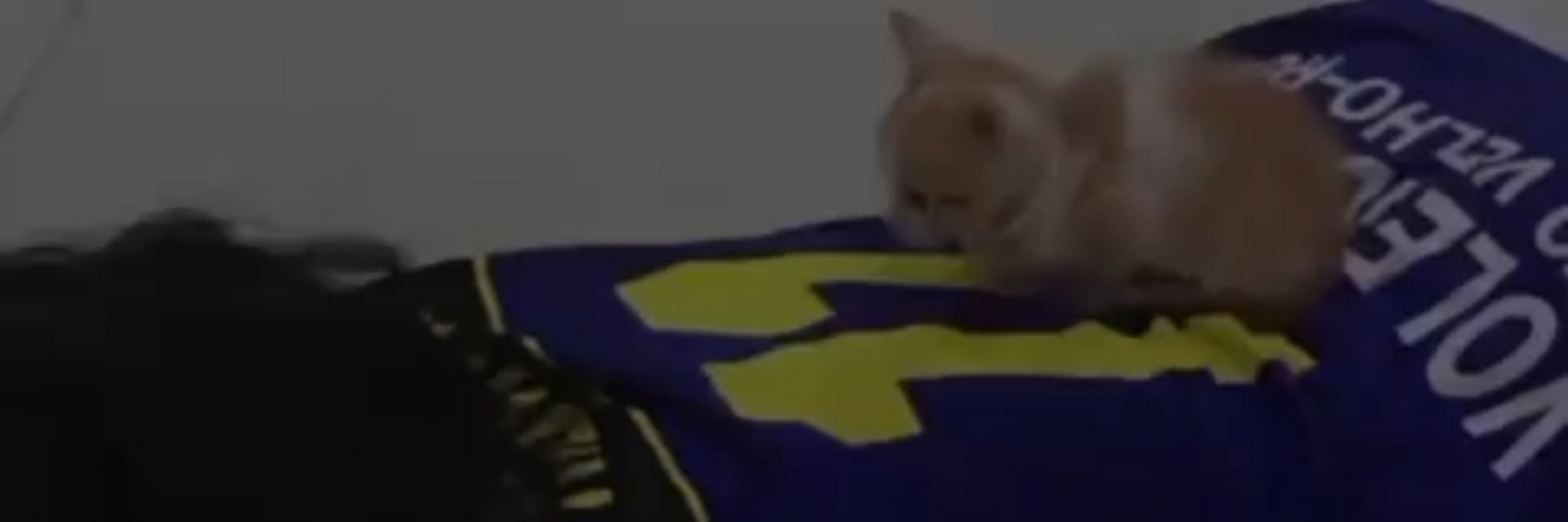 saraaa