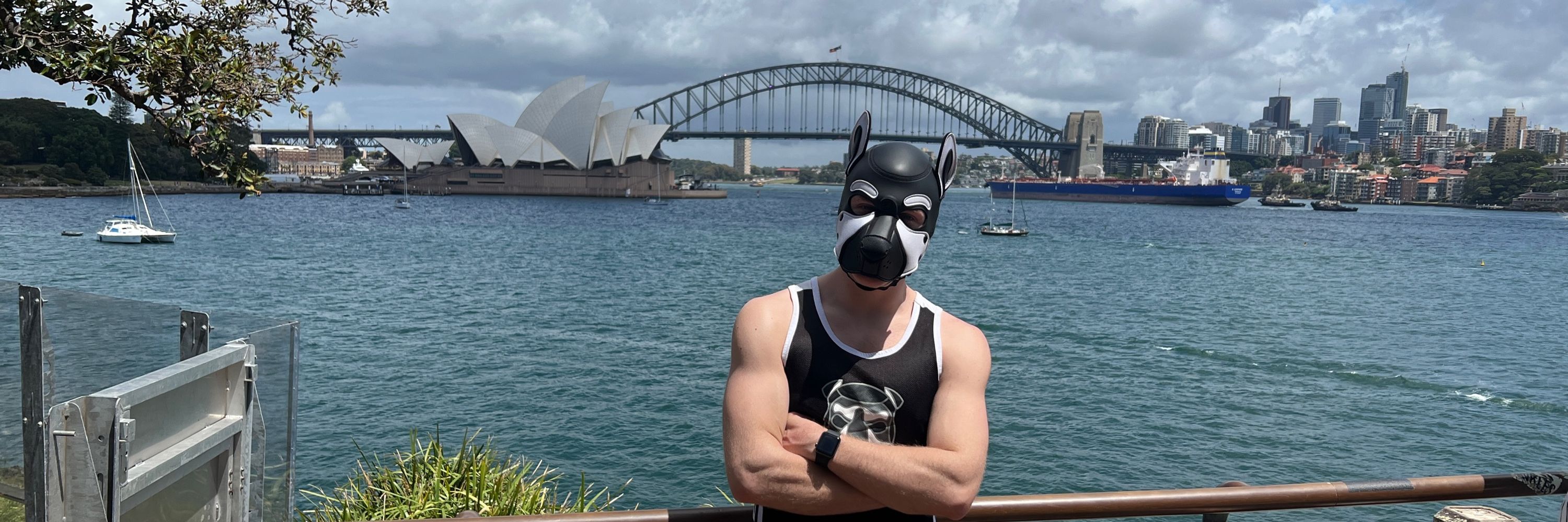 PUP ÆRO 🔜 MIR