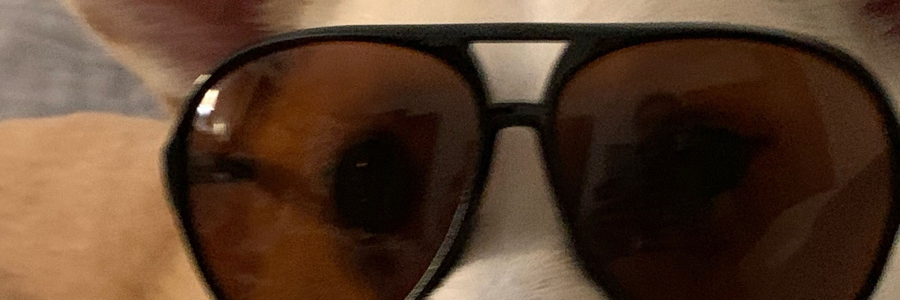 Otto7