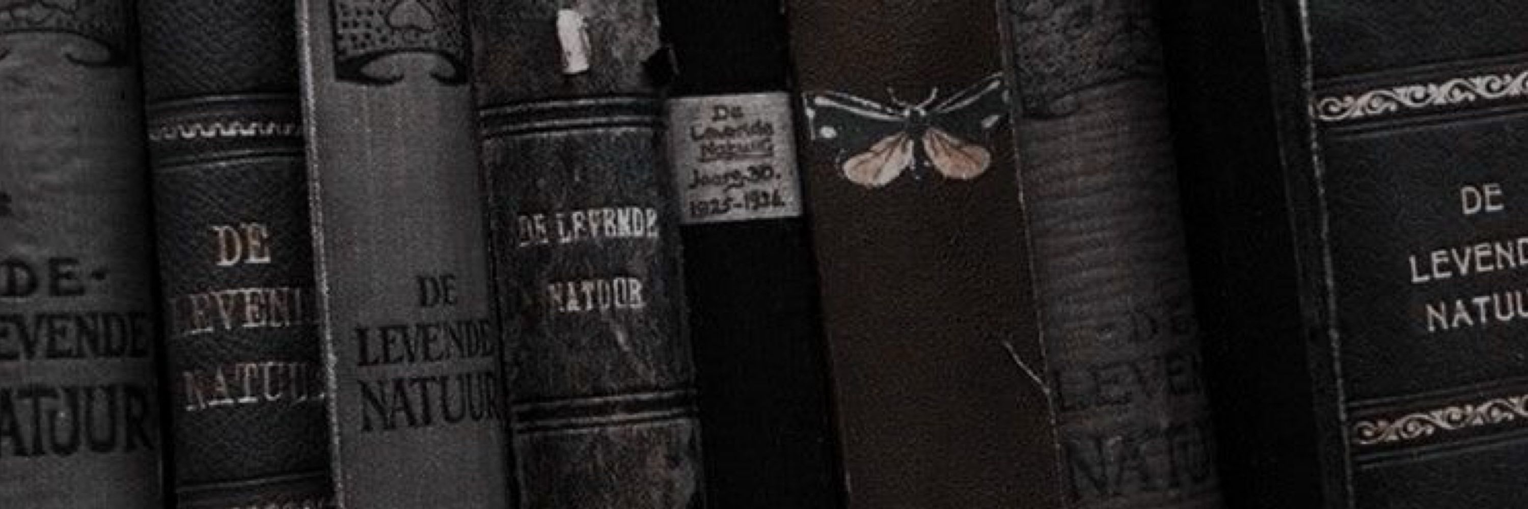 Yas✨ | 📖: A Crisálida Dourada