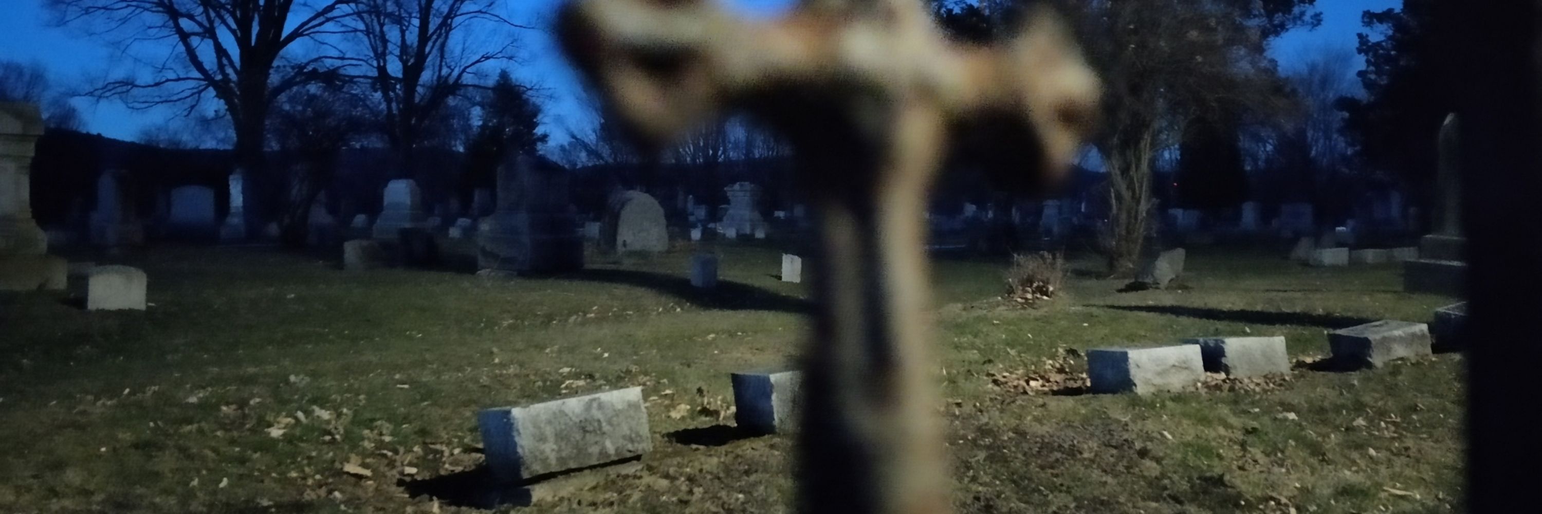 🕸️𝖍𝖊𝖝 𝖍𝖊𝖑𝖊𝖓𝖆🕸️