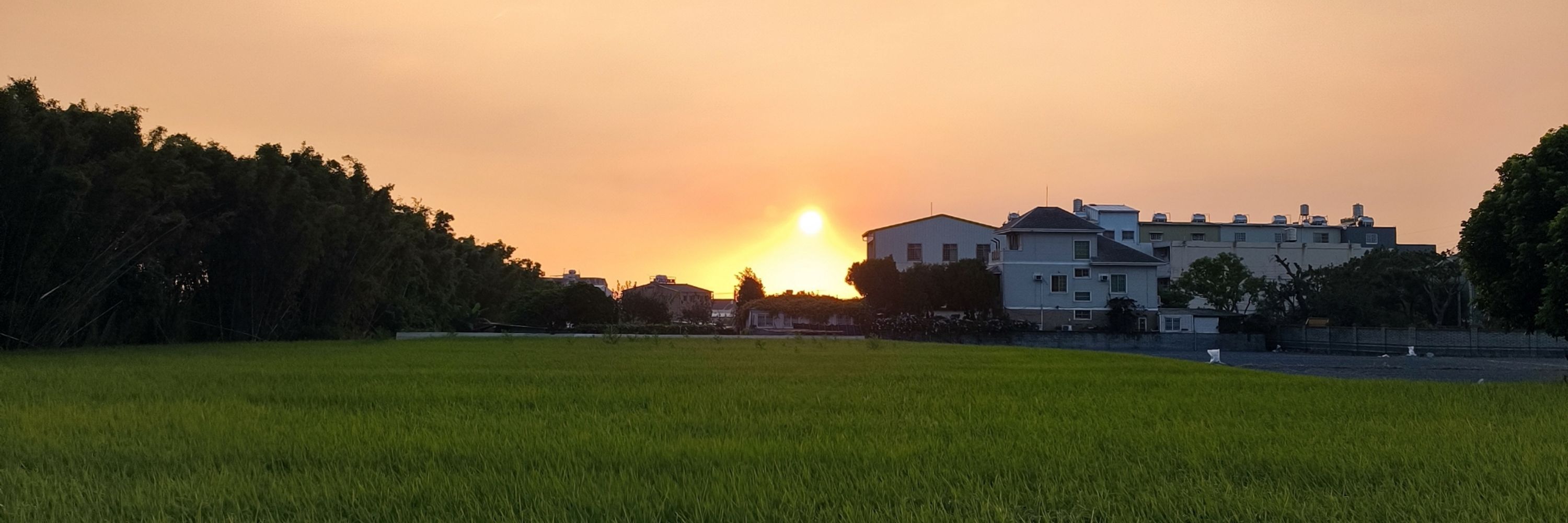 หลี่ เหวินฮุย🙇이문휘(^_^) Lí bûn-hui🌳🇹🇼🇯🇵🇹🇭