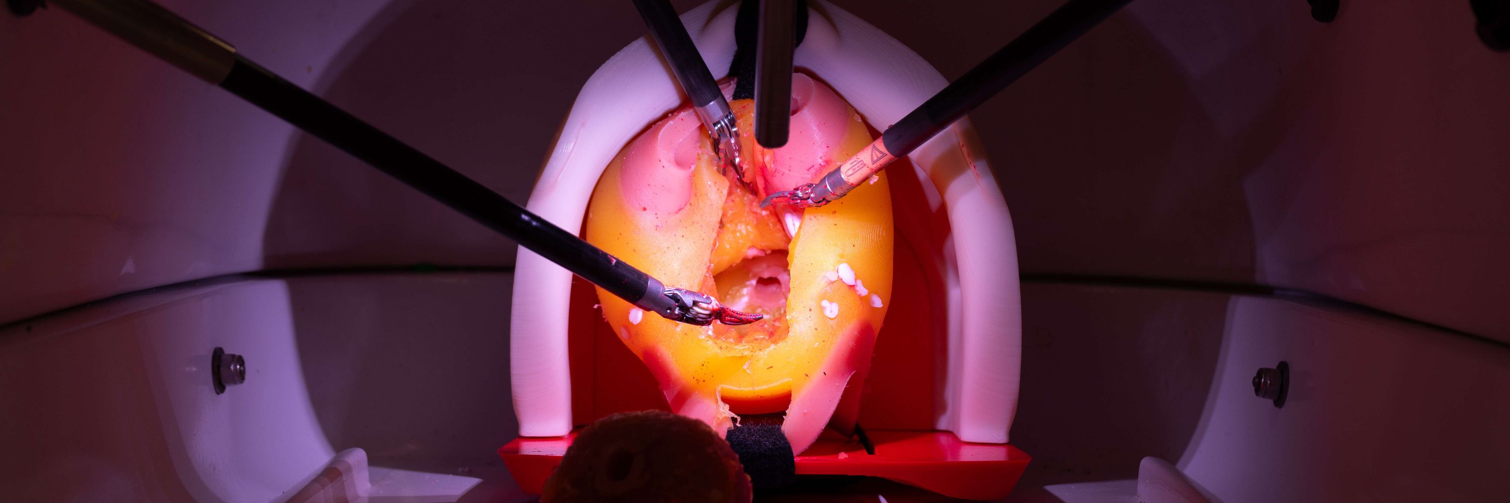 Urotrainer | Urology Surgical Simulation
