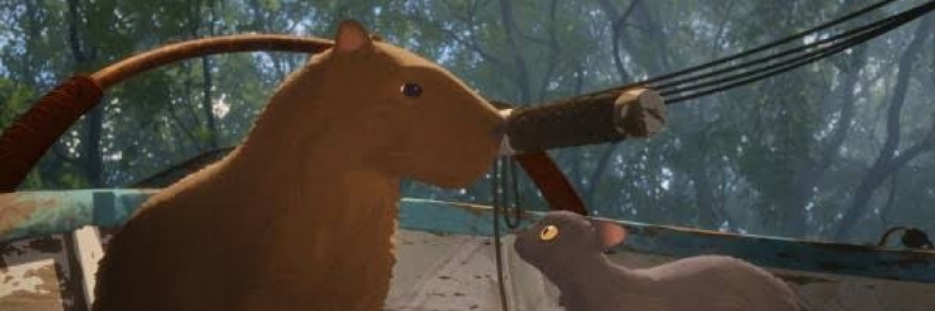 Capivara do Flow pilotando o barquinho
