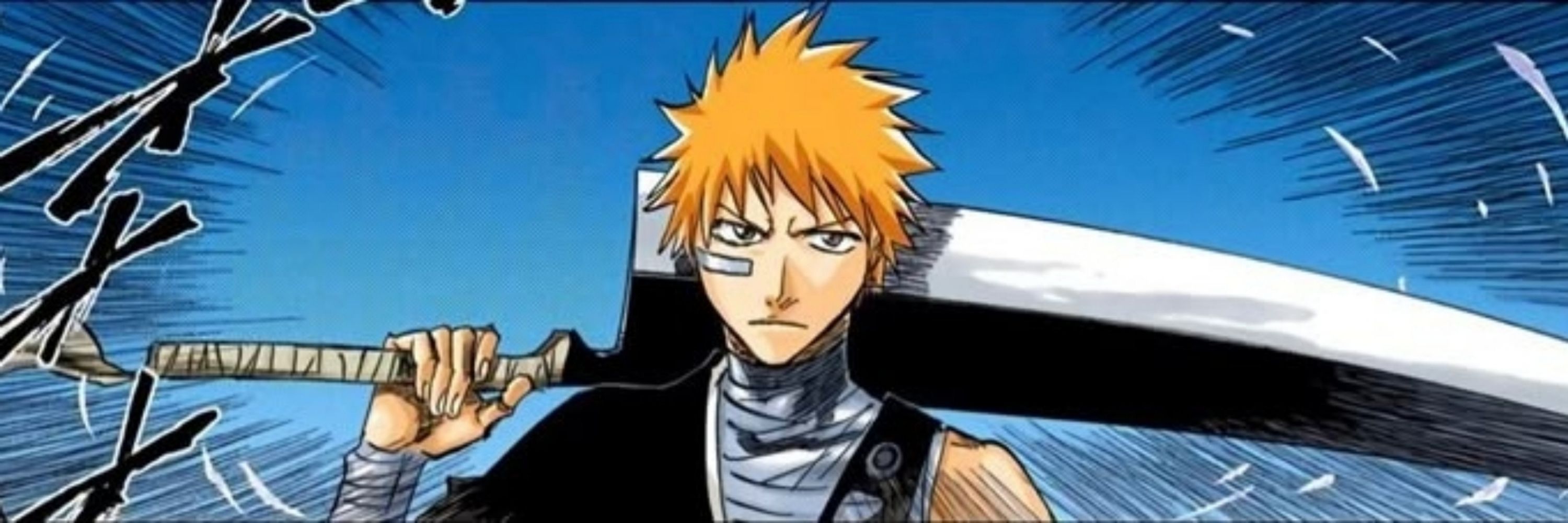 Bleach peak