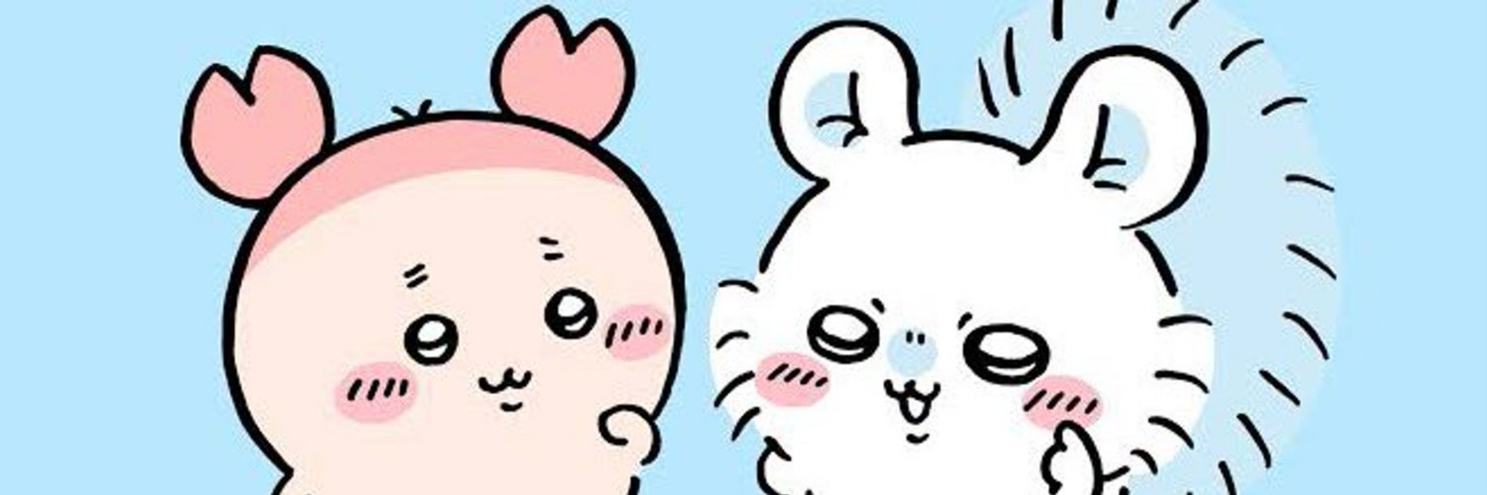 こうちゃ