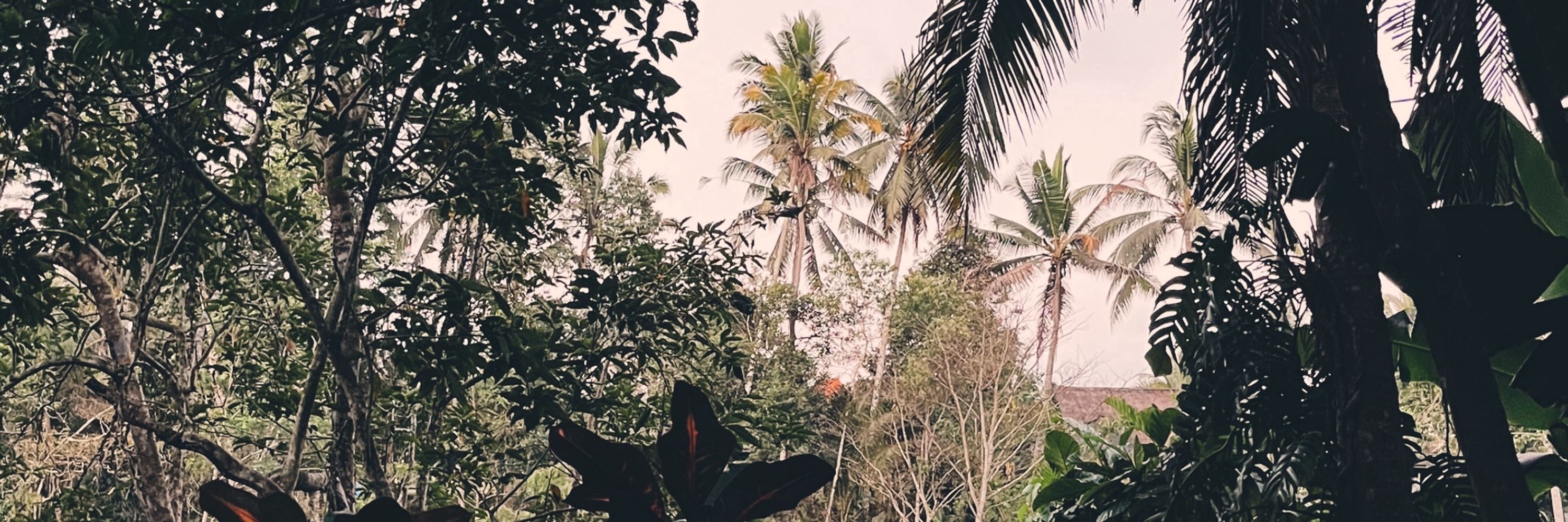 Sabrina | World Travel & Adventure