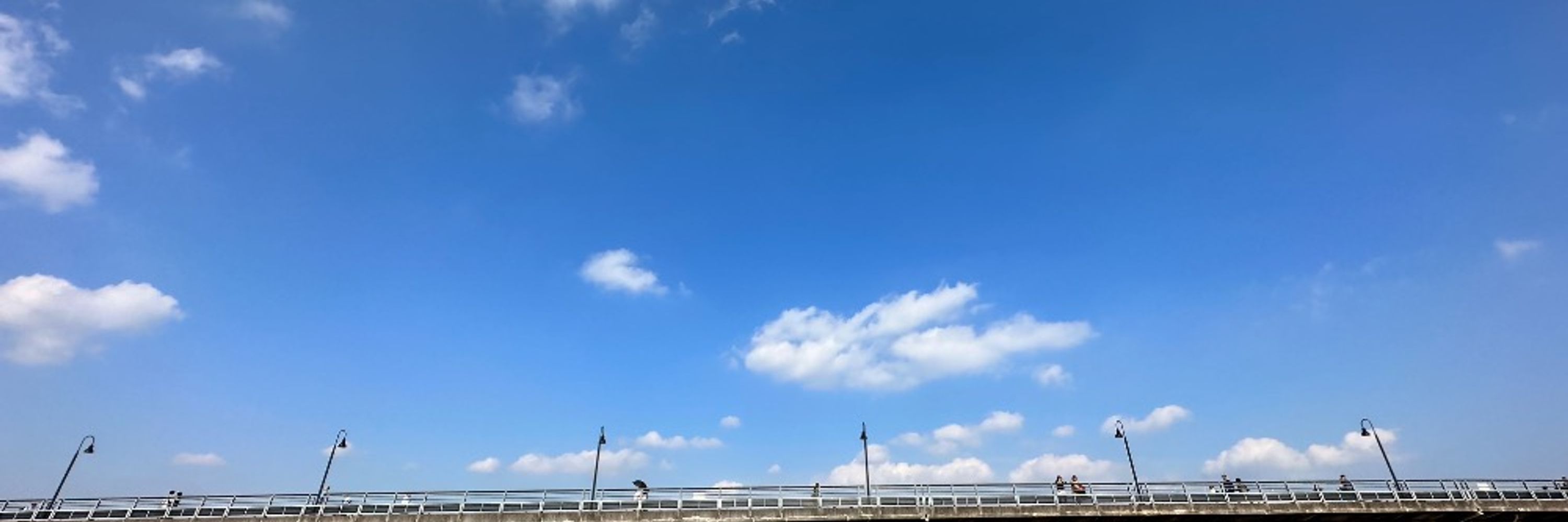 ユータ