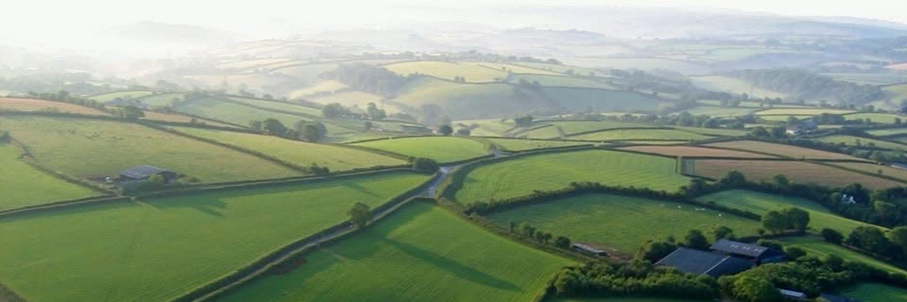 Colmer Ecology