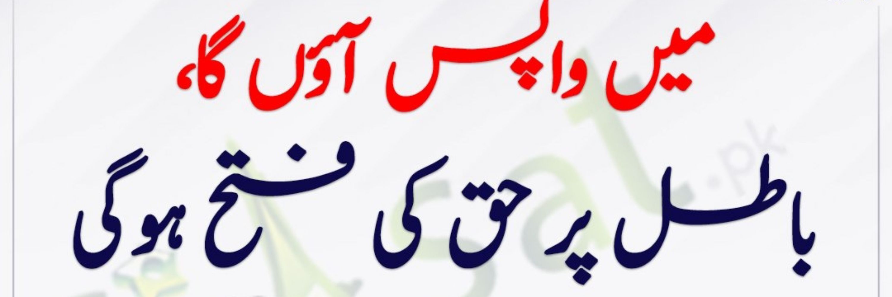 Loyal pakistani