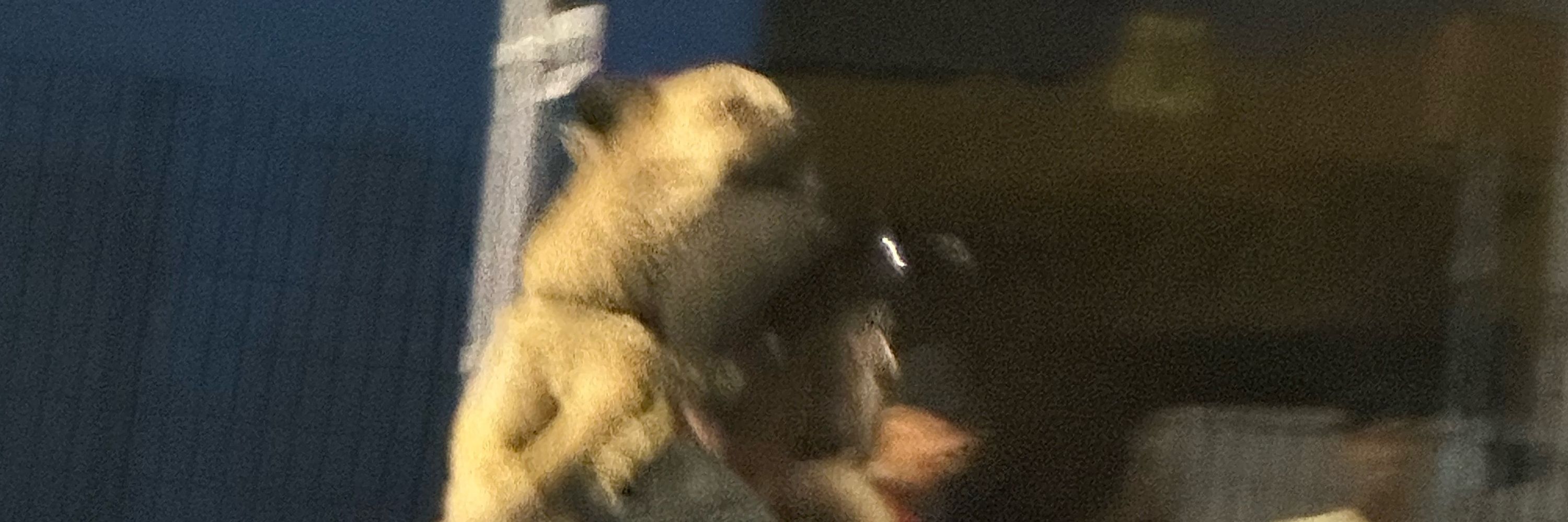 𝕭𝖗𝖞𝖆𝖓