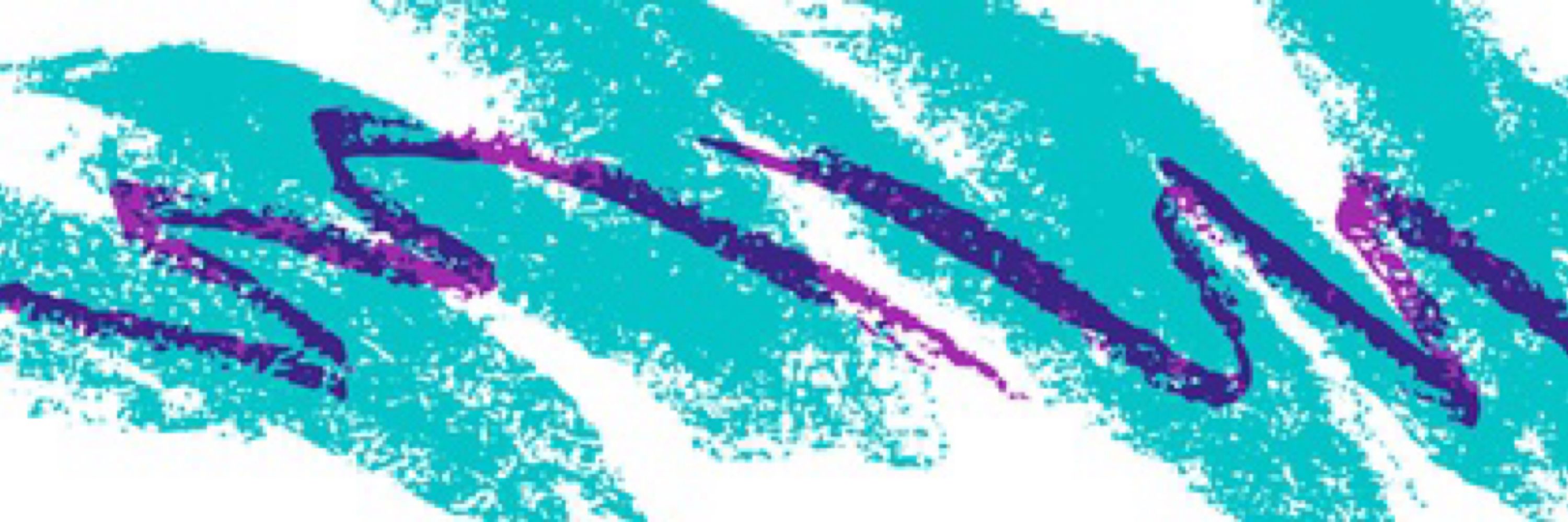 ninetiesformula