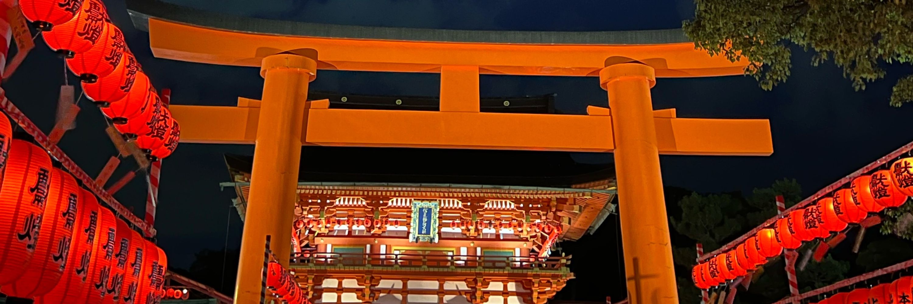 しろねこーにゃ