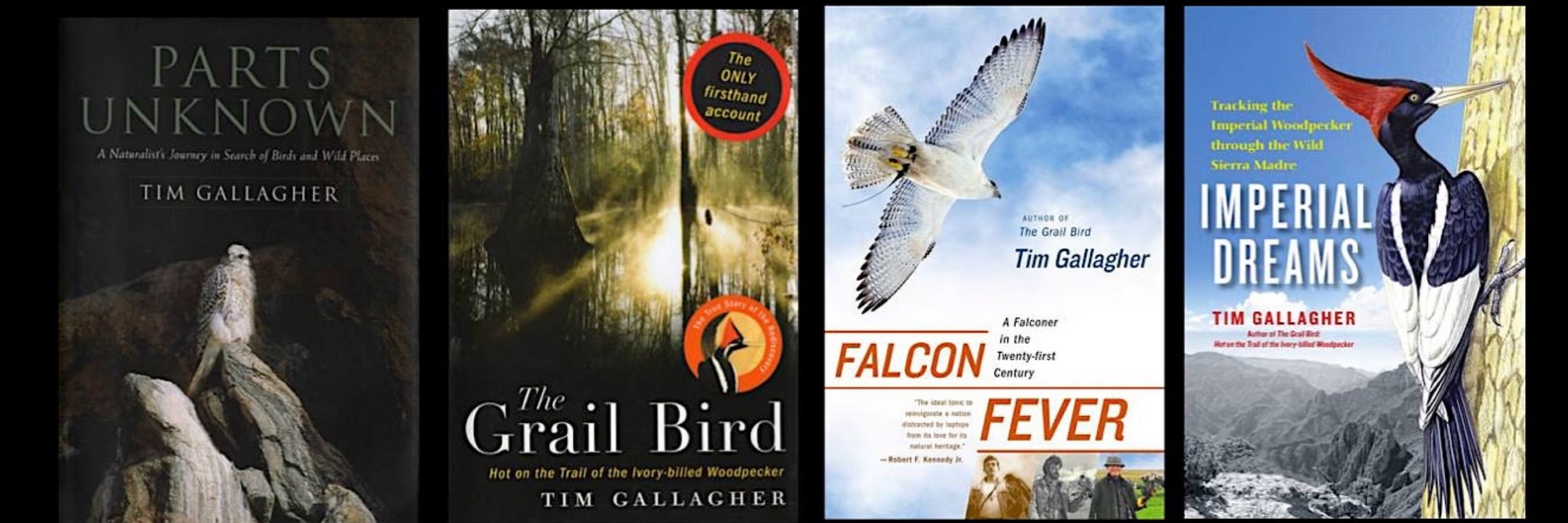 Tim Gallagher