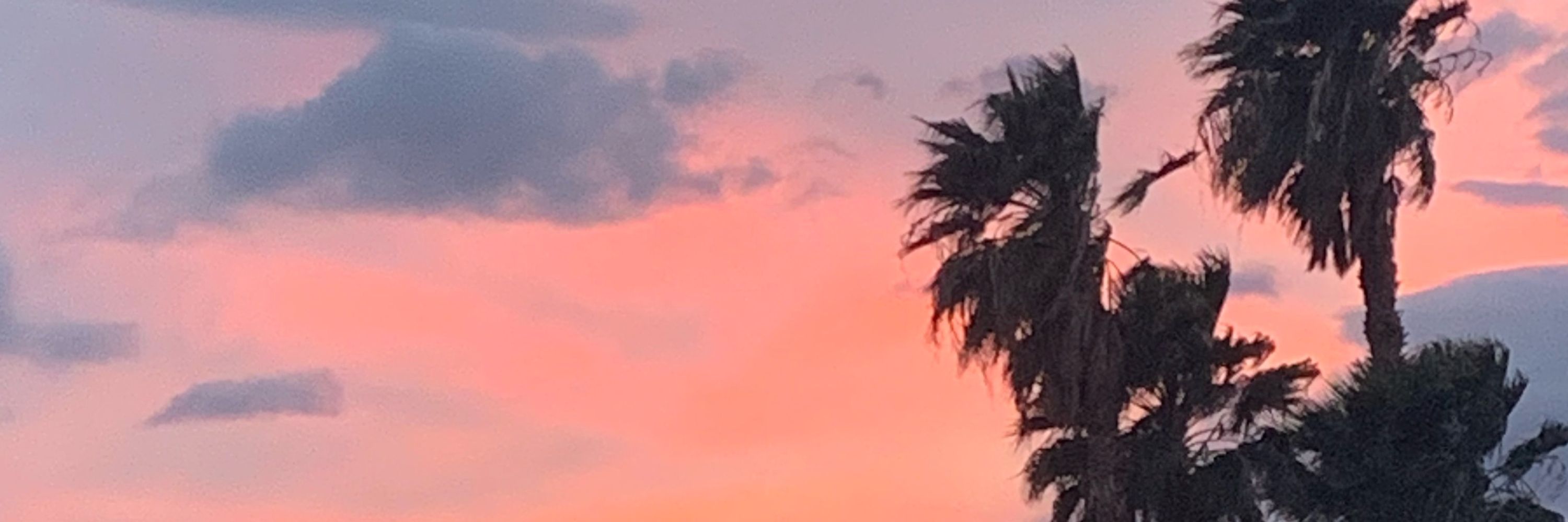 ✨꧁✧𝐍𝐚𝐦𝐚✧꧂✨