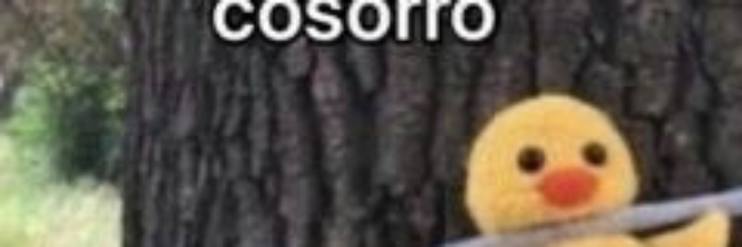 Ve