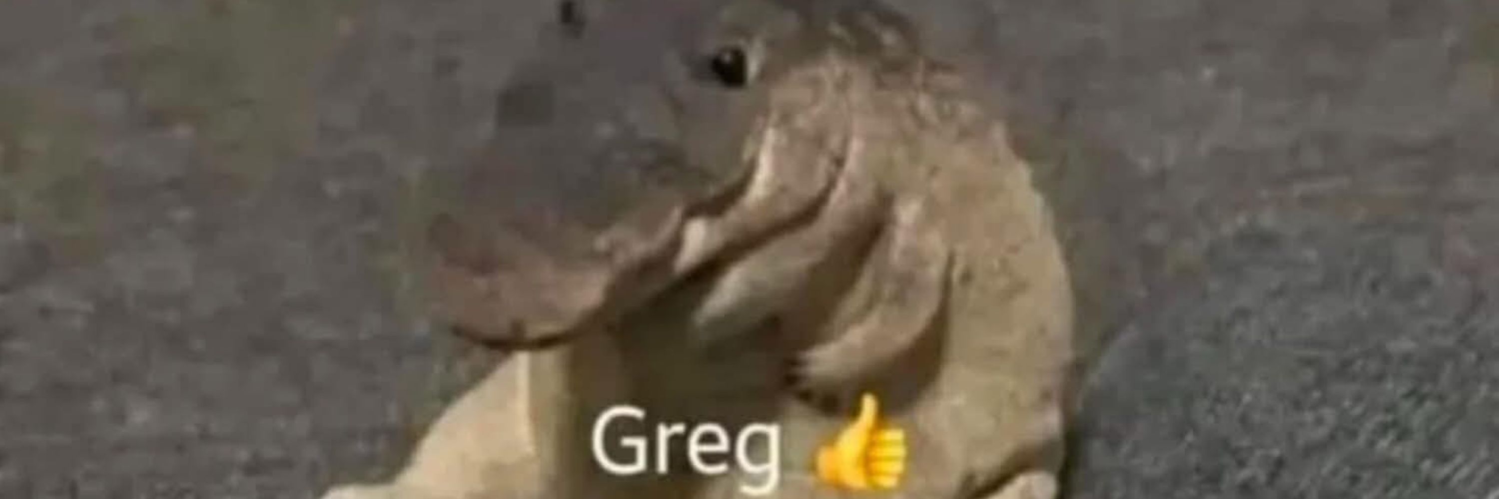 Greg👍