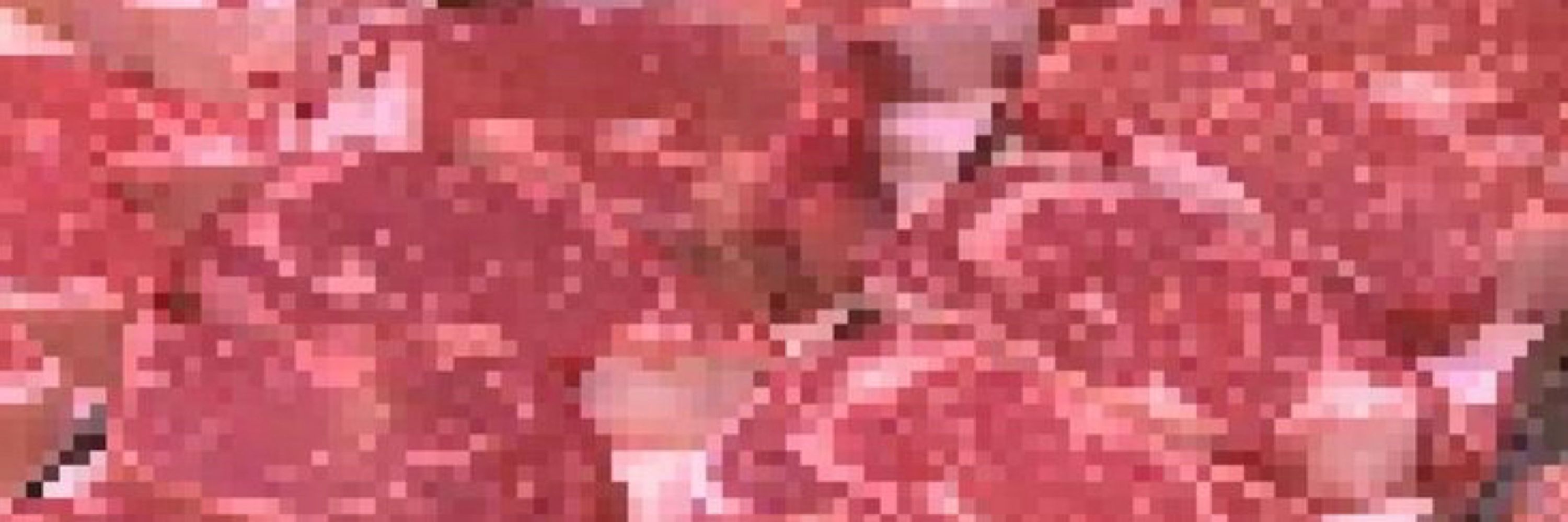 ѦƝΔƦΣǤƲƦѲ
