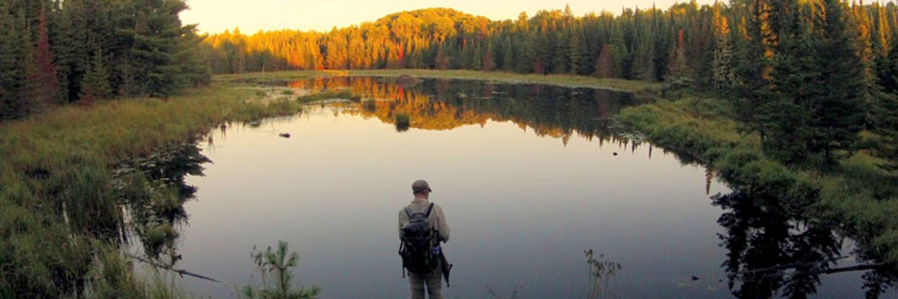 MN DNR Ecological and Water Resources Divison