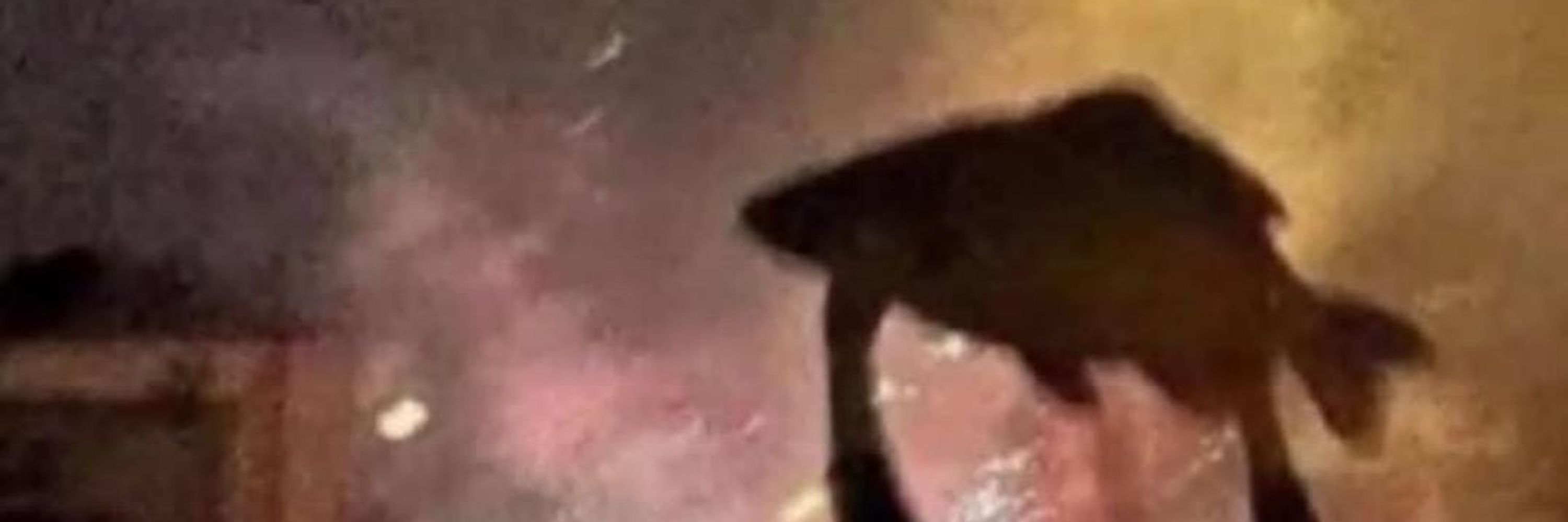 sharkaroid AKA BARRA