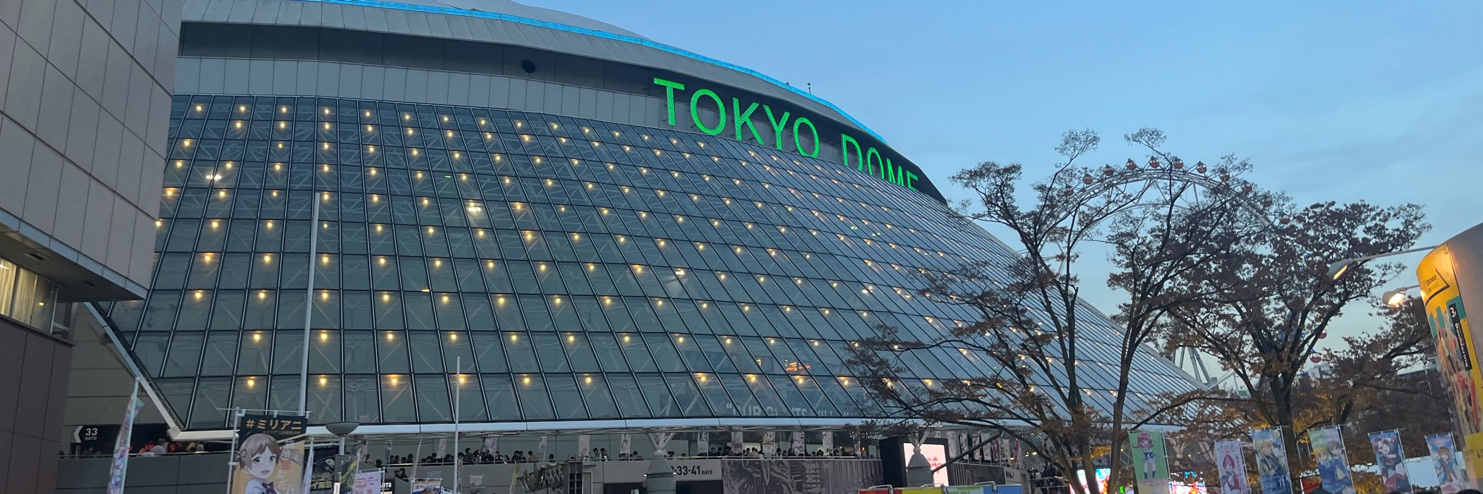 こーひーぜりー