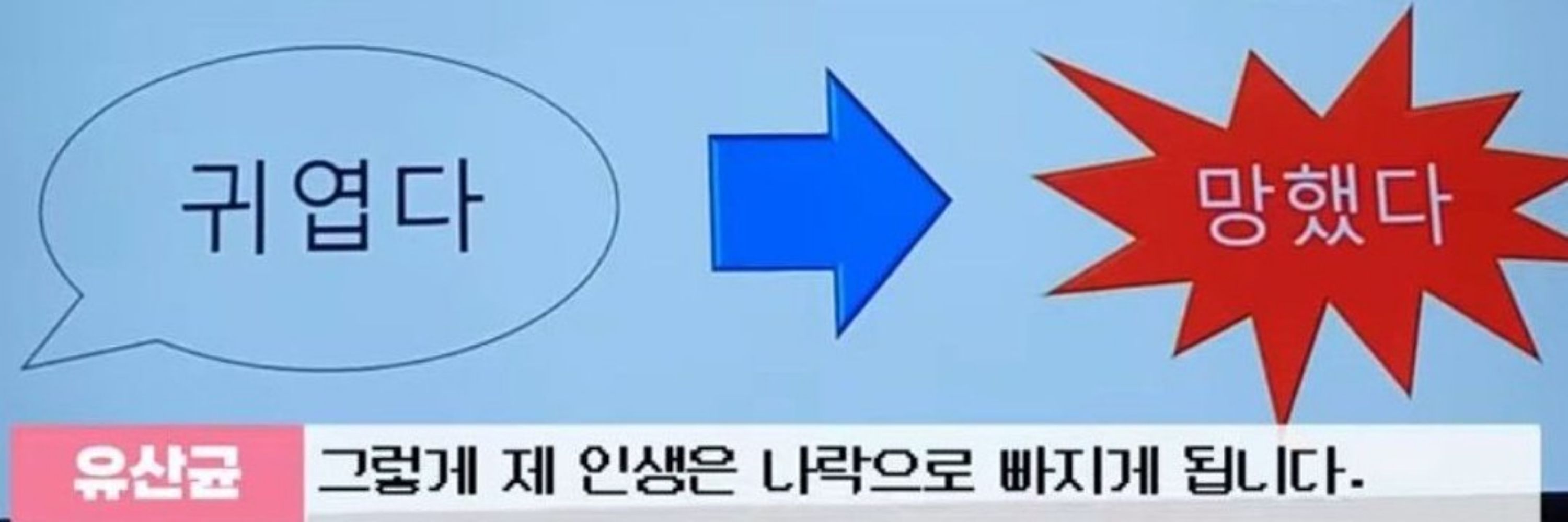 한🔒