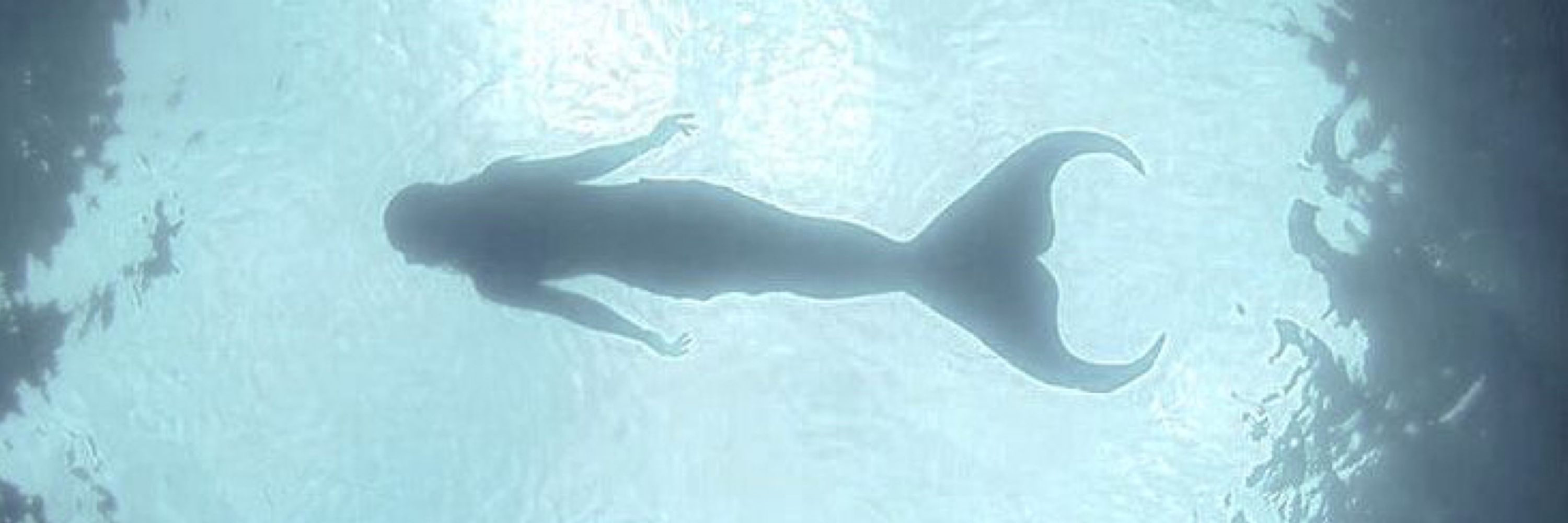 Sereia 🧜‍♀️