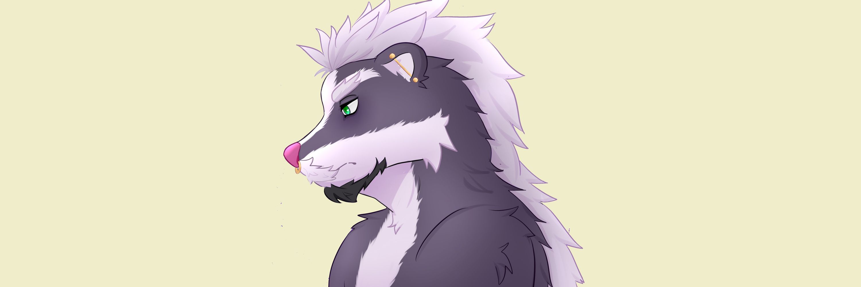 Fujsan13  ふじさん(Comms Open 1/5) Dm
