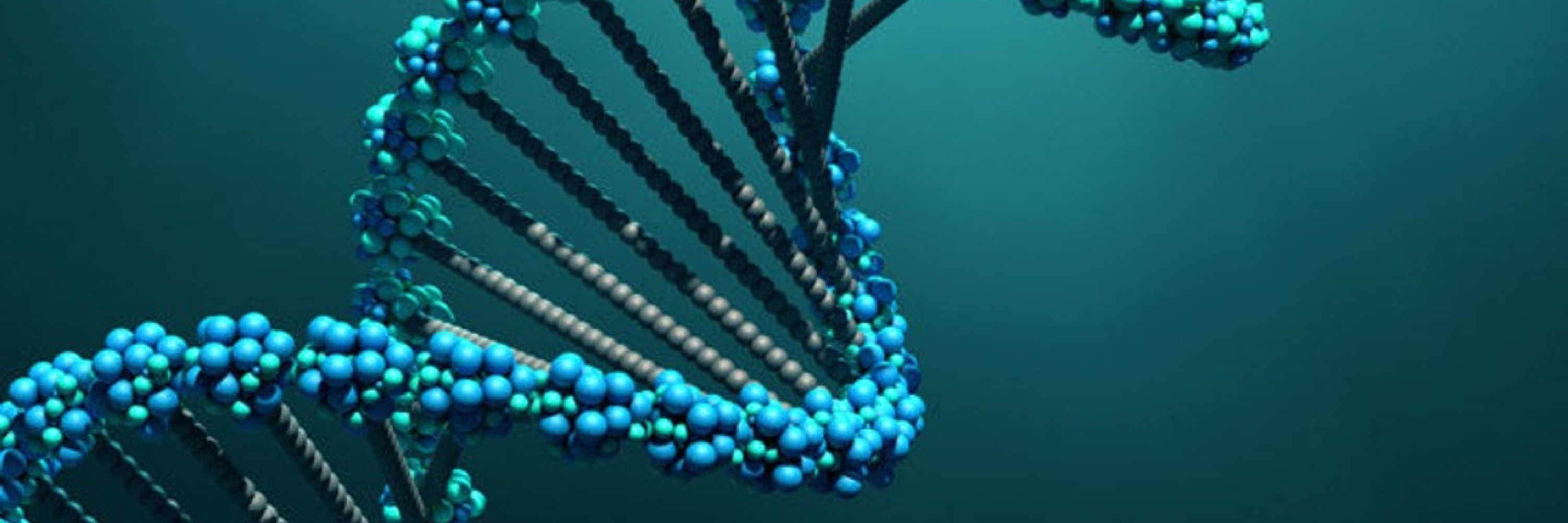 bio