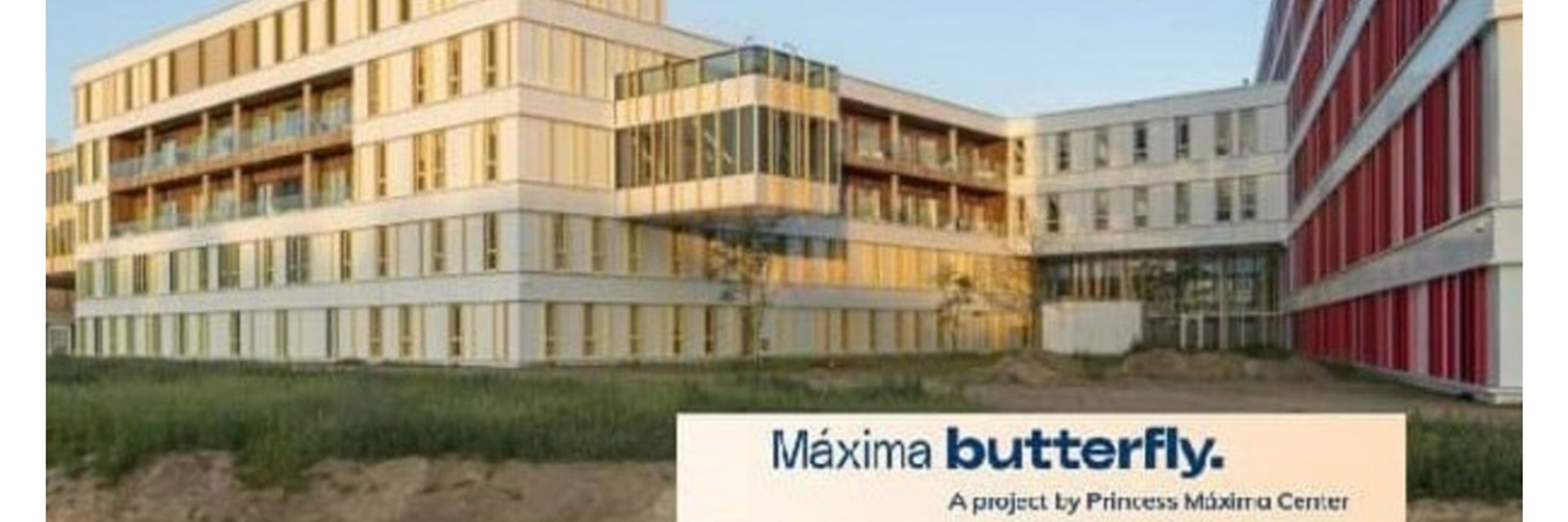 Maxima Butterfly 