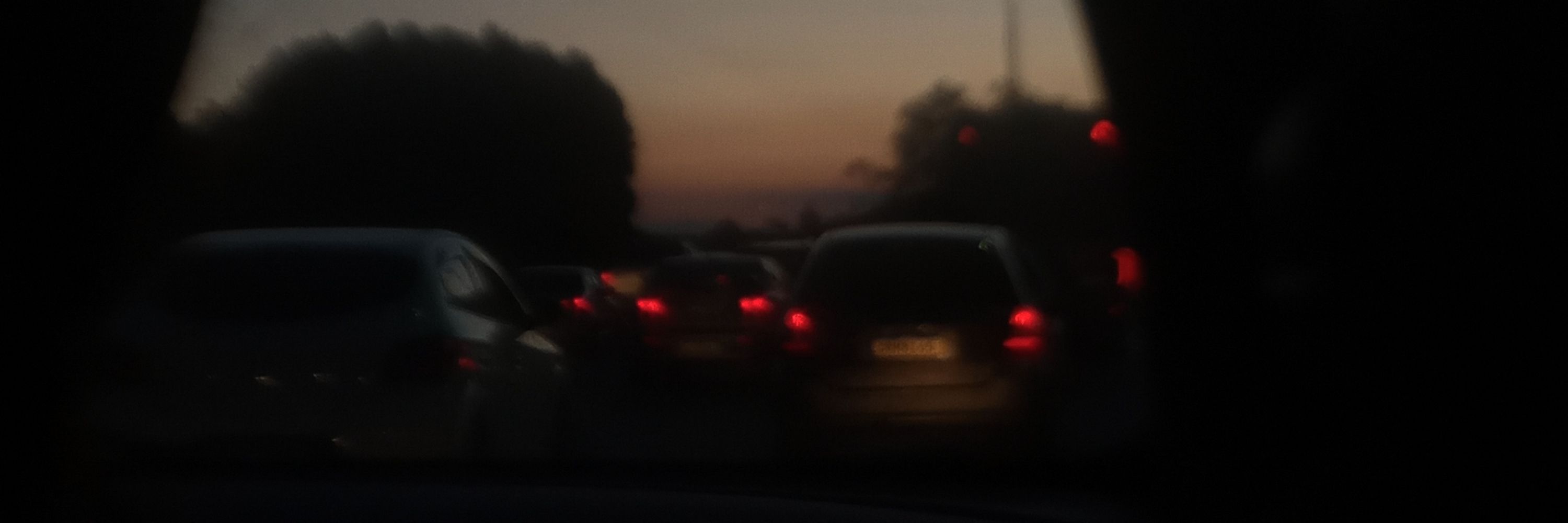 Larão