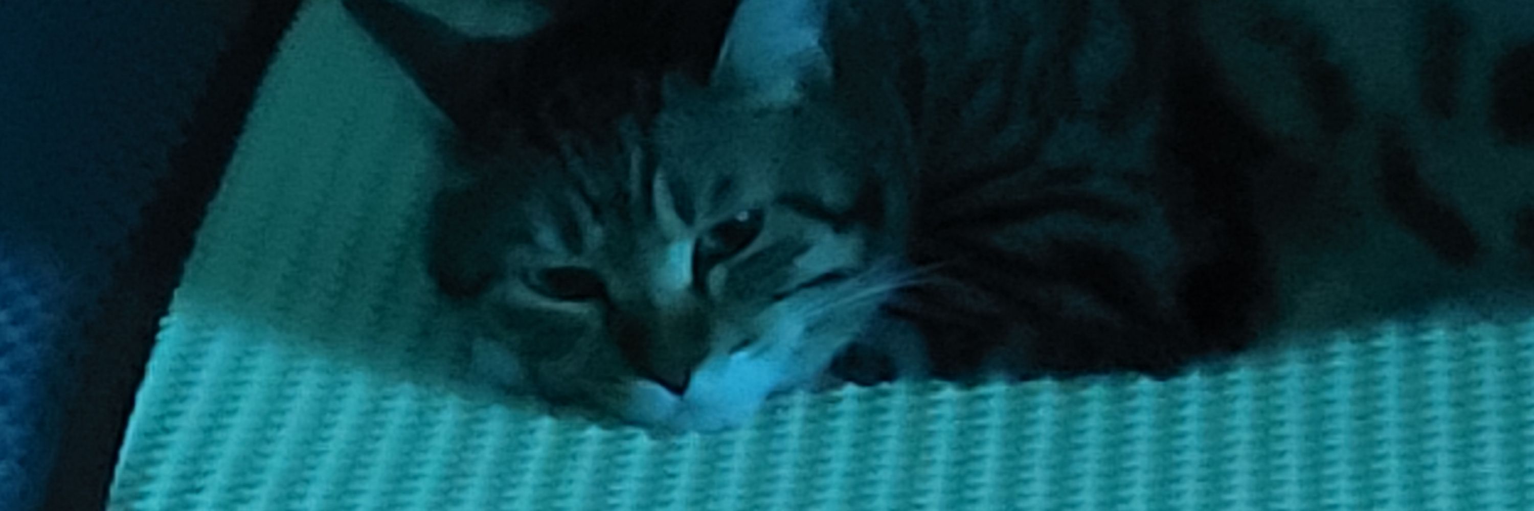 파편