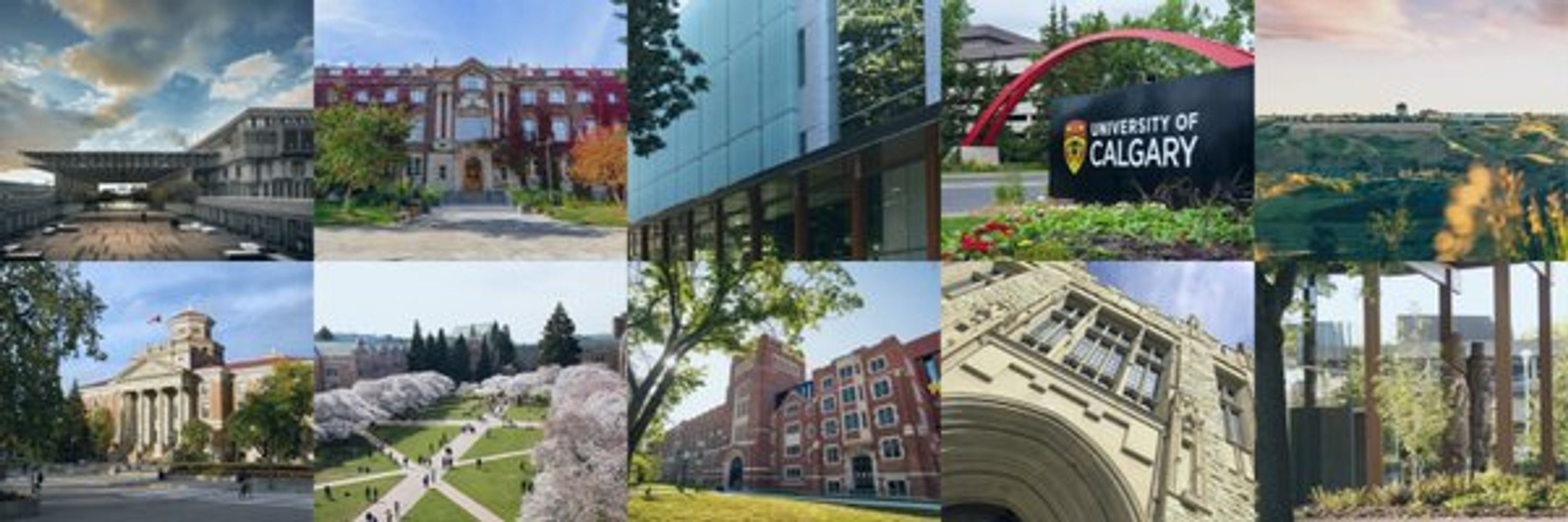 Pacific Institute for the Mathematical Sciences