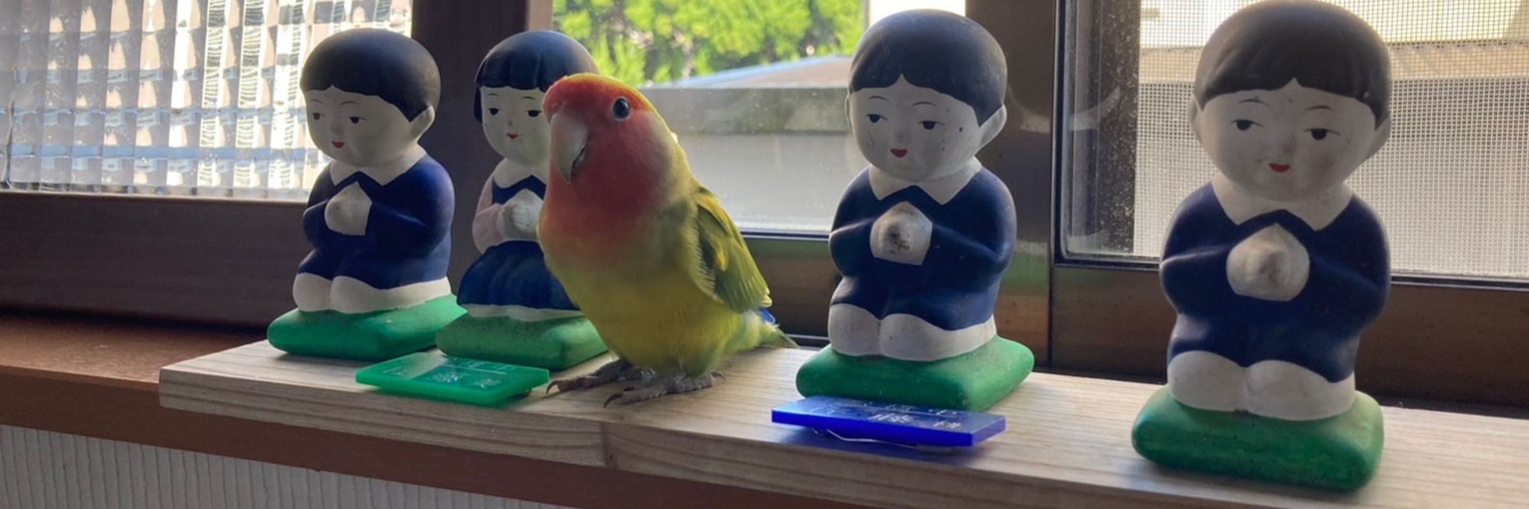 ゆうまくん