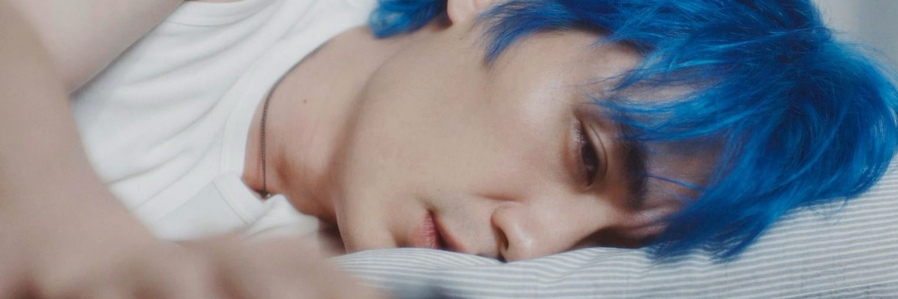 wenella x zhu yilong